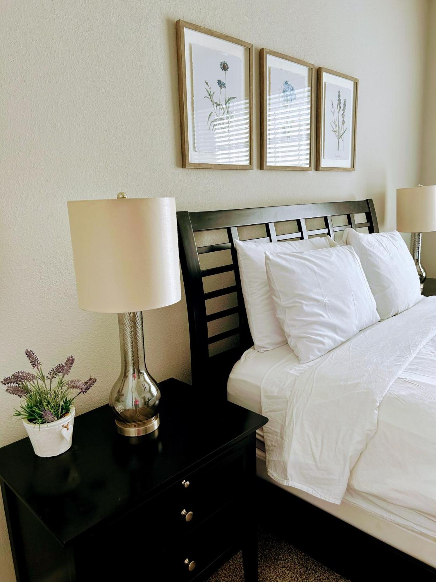 Hidden Gem At Med Center 2Br & 2Ba Apartment ฮูสตัน ภายนอก รูปภาพ